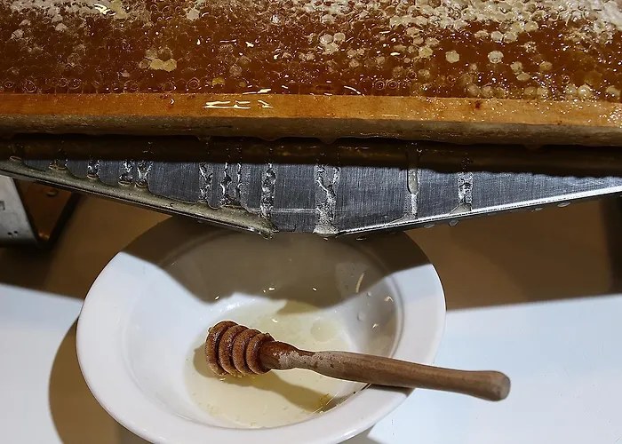 Ξενοδοχείο Western Jfk Νάπολη